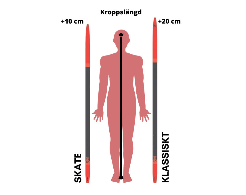 Rätt längd på längdskidor