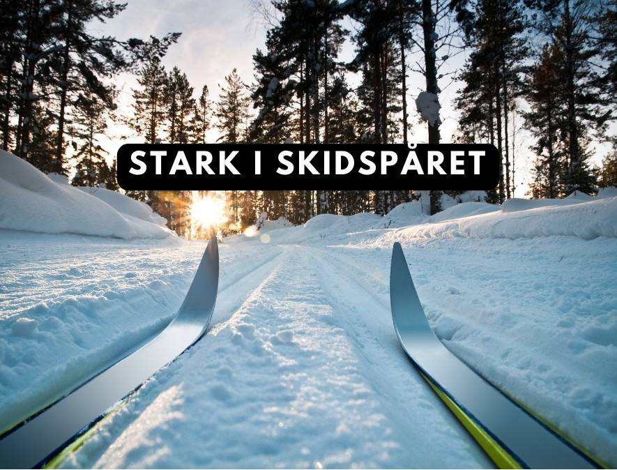 Styrketräning ute i längdskidspåret